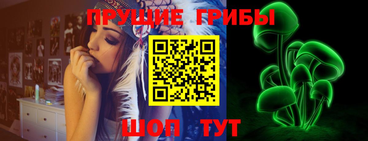 Псилоцибиновые грибы GOLDEN TEACHER  Галлюциногенные грибы GOLDEN TEACHER  наркошоп  Вход с VPN  Старая Русса 